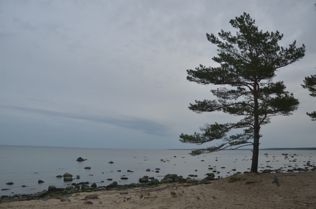 Findlinge Keile Estland Natura 2000 Europablog BridgingMoments